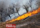 در پی وزش باد گرم ؛ آتش سوزی نزدیک به ۲ هکتار از مناطق جنگلی گیلان