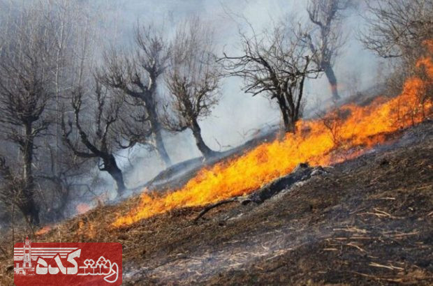 در پی وزش باد گرم ؛ آتش سوزی نزدیک به ۲ هکتار از مناطق جنگلی گیلان