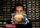 محققان می‌گویند مغز پولدارها دیر پیر می‌شود